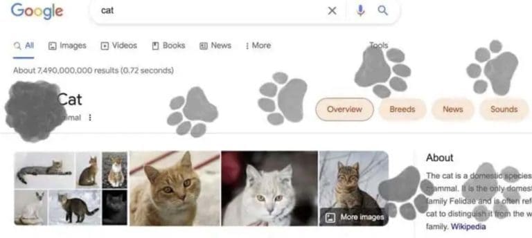 Read more about the article International Cat Day