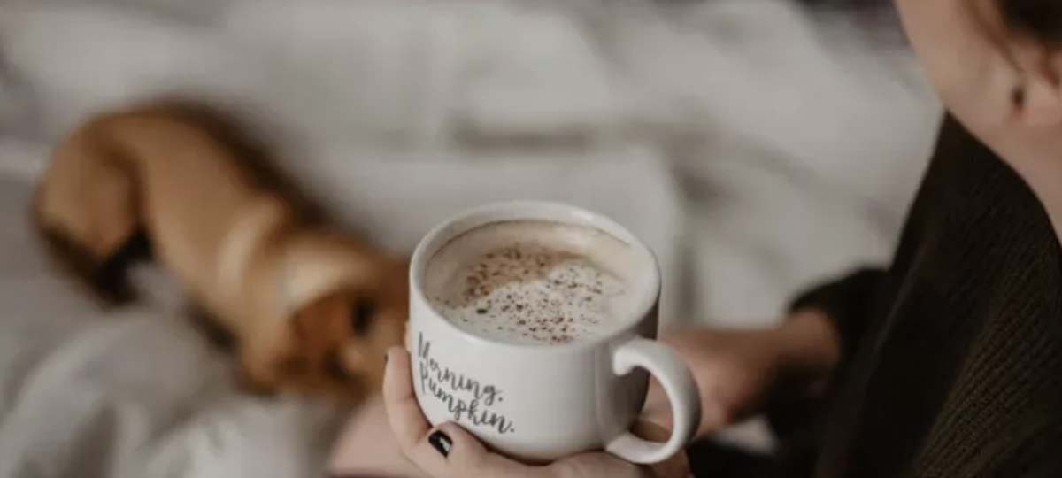 Read more about the article Early Riser