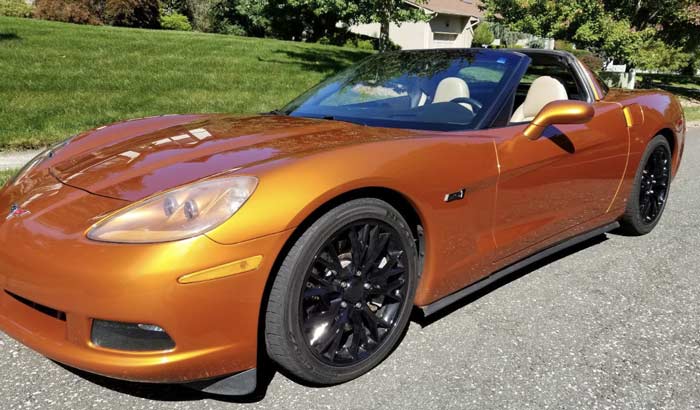 Read more about the article Angry Muscles (passing by)