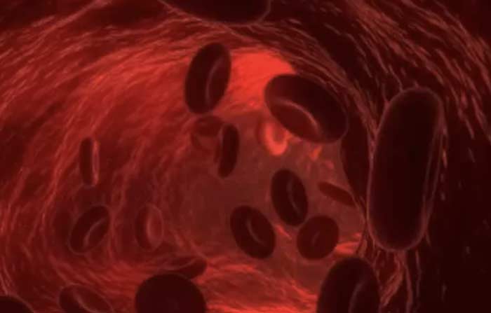 Read more about the article magnetic tagging of my bloodstream