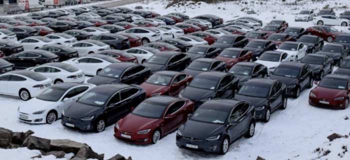 fleet of teslas