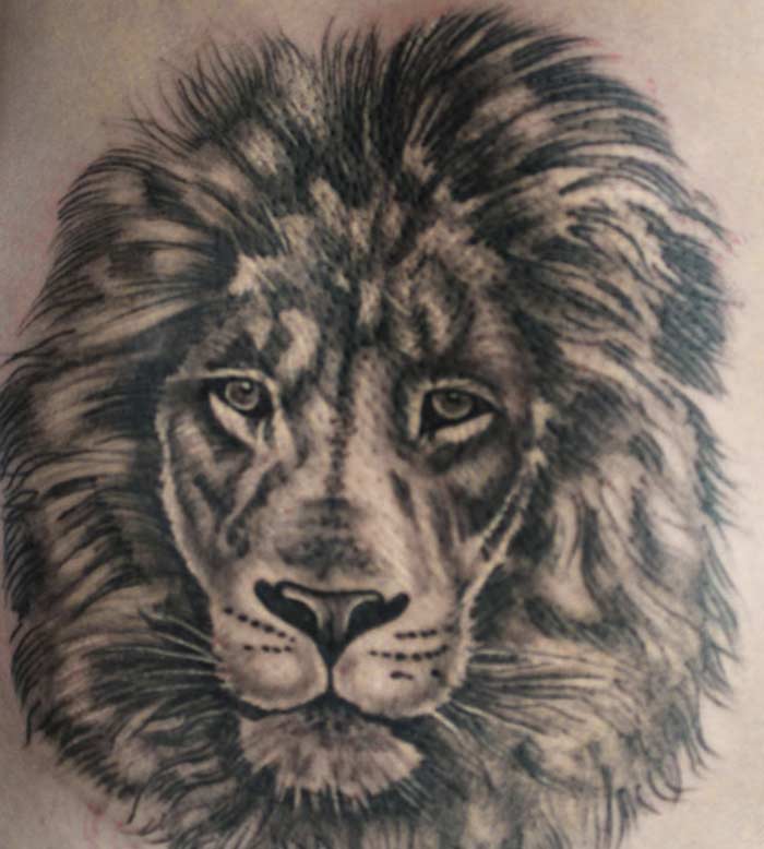 lion tattoo