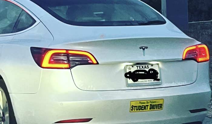 tesla driving school