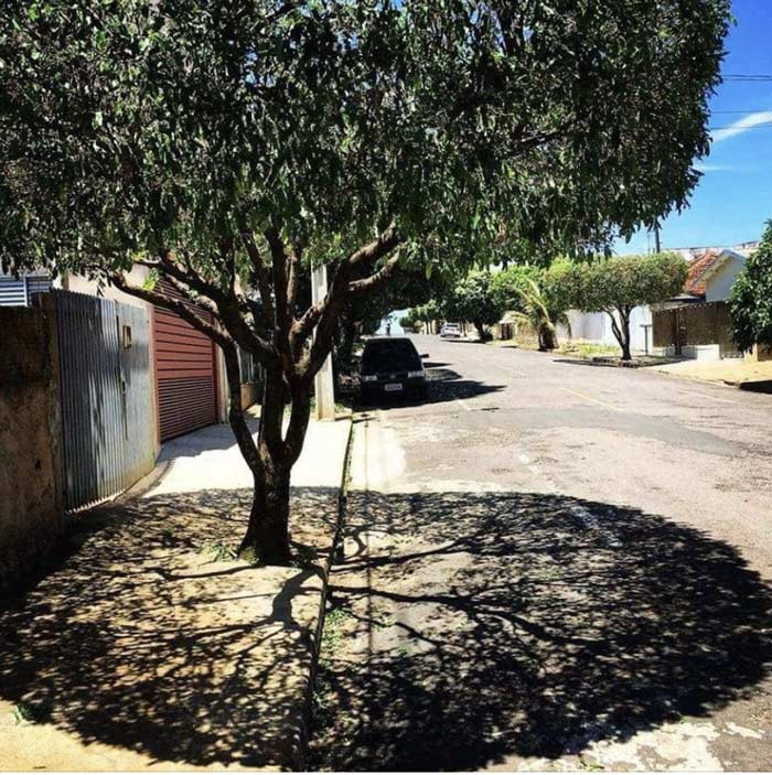 Read more about the article finding shade