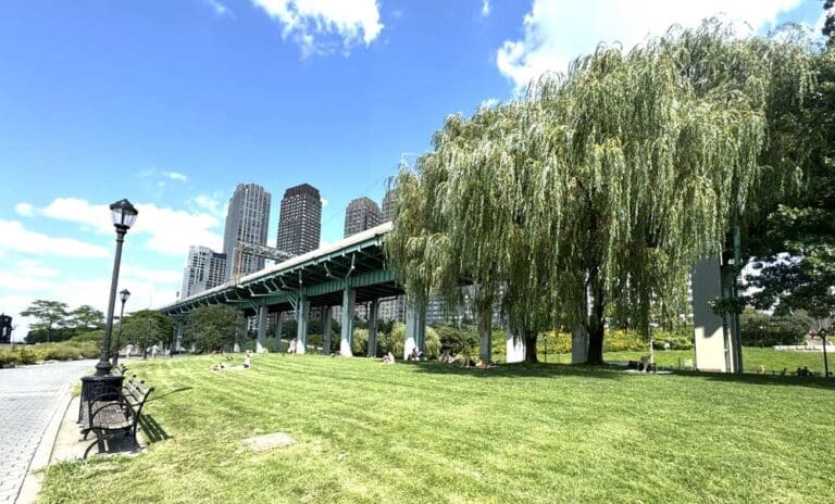 Read more about the article The Bridge