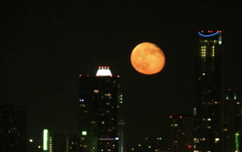 Read more about the article moon aflame