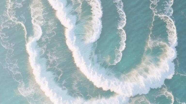 Read more about the article particle or wave