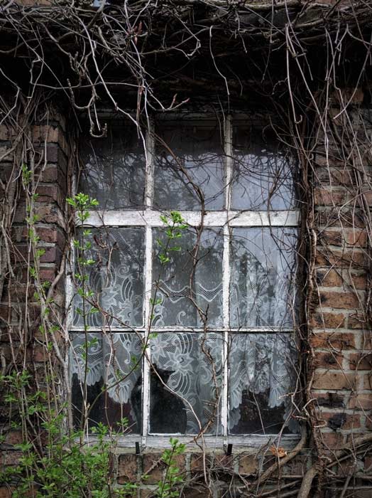 Read more about the article behind this window of sorrow