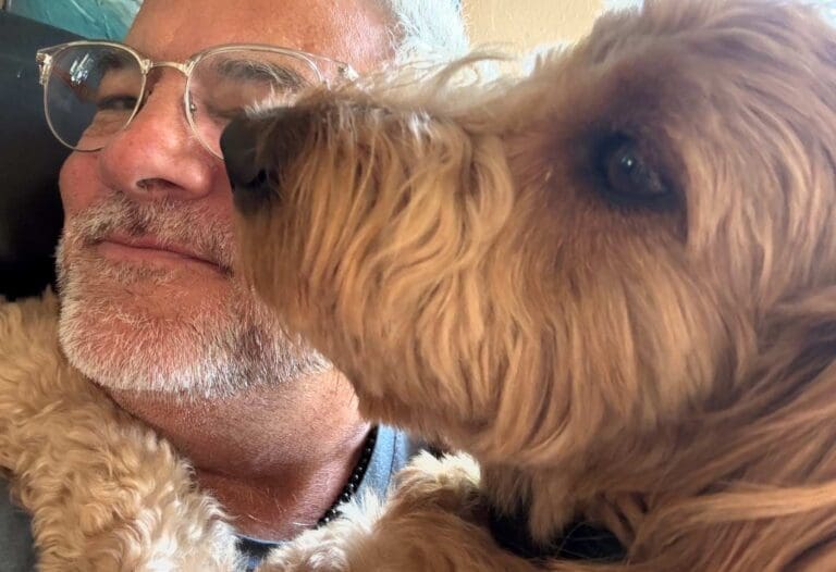 Read more about the article Eye of the Golden Doodle