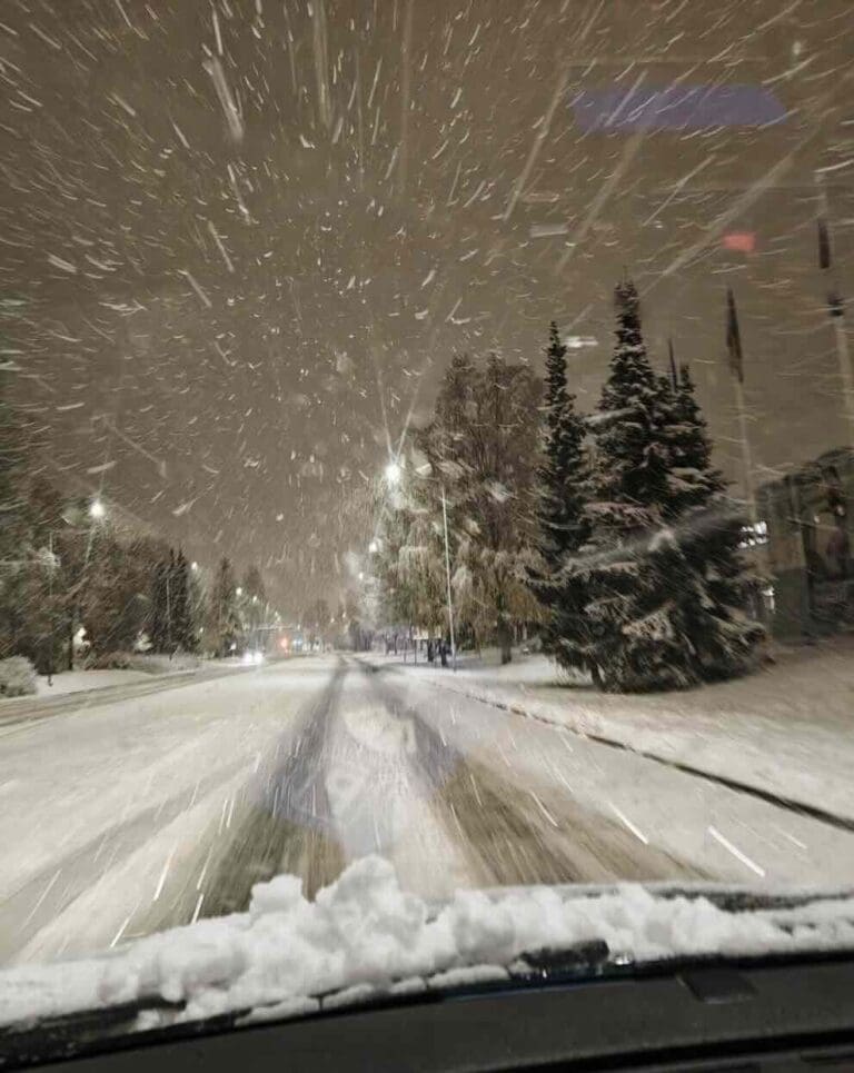 Read more about the article Windshield of Life