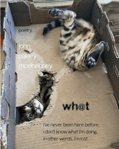 wh@t? - poems by john oakley mcelhenney
