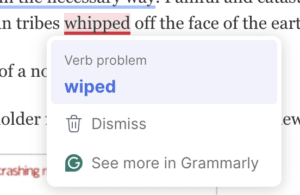 a verb problem? yes, grammarly the verb problem is yours