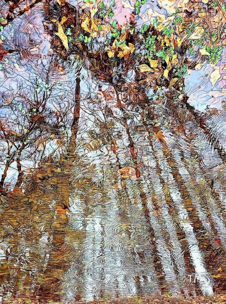 Read more about the article a leaf in springtime