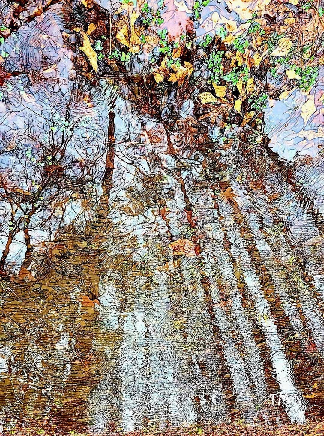 Read more about the article a leaf in springtime