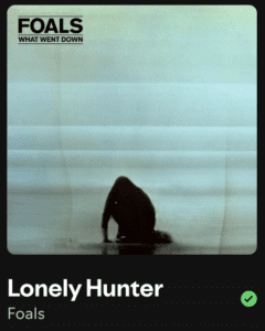 the foals, lonely hunter