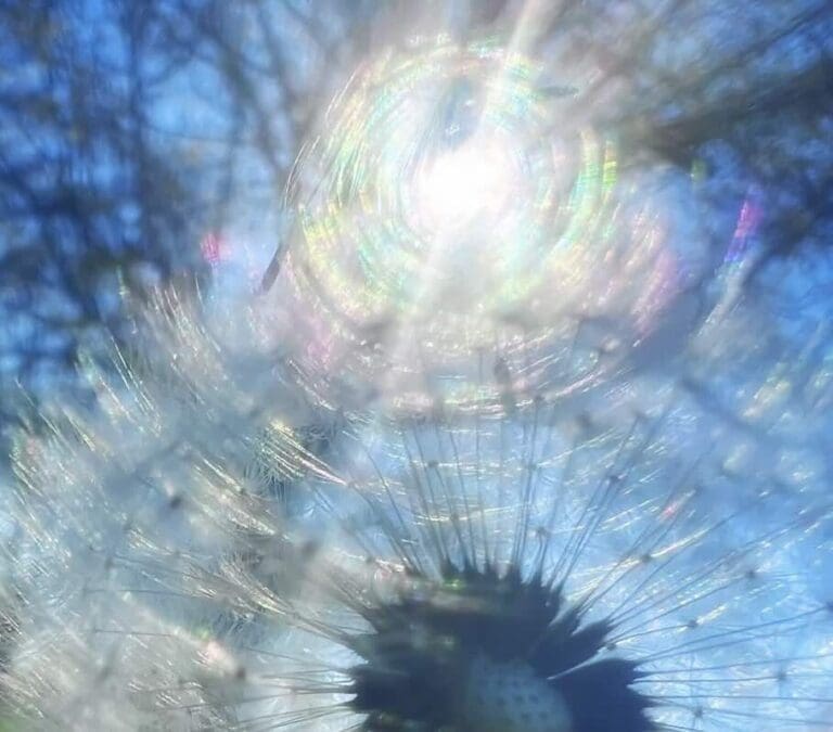 Read more about the article Reorienting Our Souls